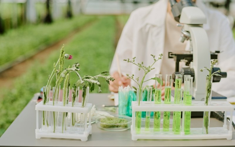 Image gallery marquee