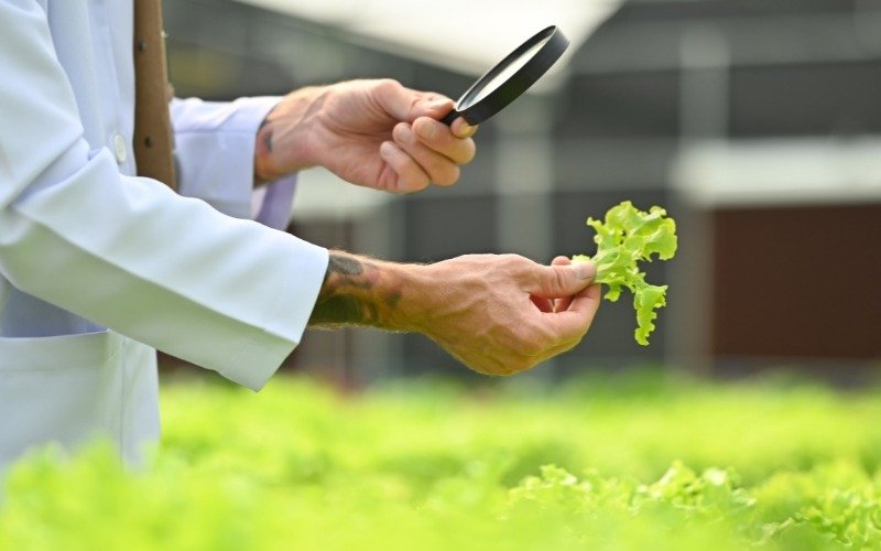 Image gallery marquee