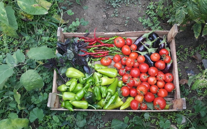 Image gallery marquee